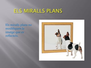 Els miralls plans no
modifiquen la
imatge que es
reflecteix.
 