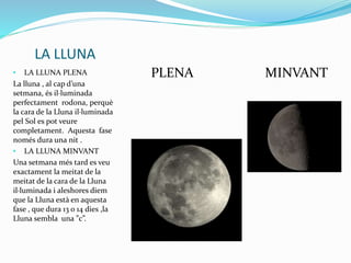 LA LLUNA
• LA LLUNA PLENA
La lluna , al cap d’una
setmana, és il·luminada
perfectament rodona, perquè
la cara de la Lluna il·luminada
pel Sol es pot veure
completament. Aquesta fase
només dura una nit .
• LA LLUNA MINVANT
Una setmana més tard es veu
exactament la meitat de la
meitat de la cara de la Lluna
il·luminada i aleshores diem
que la Lluna està en aquesta
fase , que dura 13 o 14 dies ,la
Lluna sembla una ”c”.
PLENA MINVANT
 