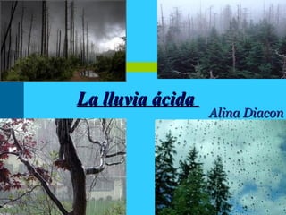 La lluvia ácida
Alina Diacon