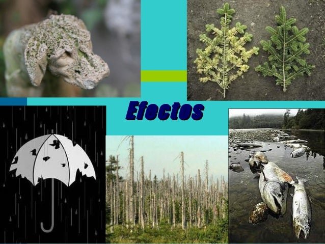 La lluvia acida alina