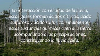 En interacción con el agua de la lluvia,
estos gases forman ácidos nítricos, ácido
sulfuroso y ácido sulfúrico. Finalmente,
estas sustancias químicas caen a la tierra
acompañando a las precipitaciones,
constituyendo la lluvia ácida.
 