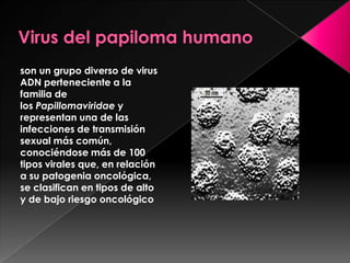 son un grupo diverso de virus
ADN perteneciente a la
familia de
los Papillomaviridae y
representan una de las
infecciones de transmisión
sexual más común,
conociéndose más de 100
tipos virales que, en relación
a su patogenia oncológica,
se clasifican en tipos de alto
y de bajo riesgo oncológico
 