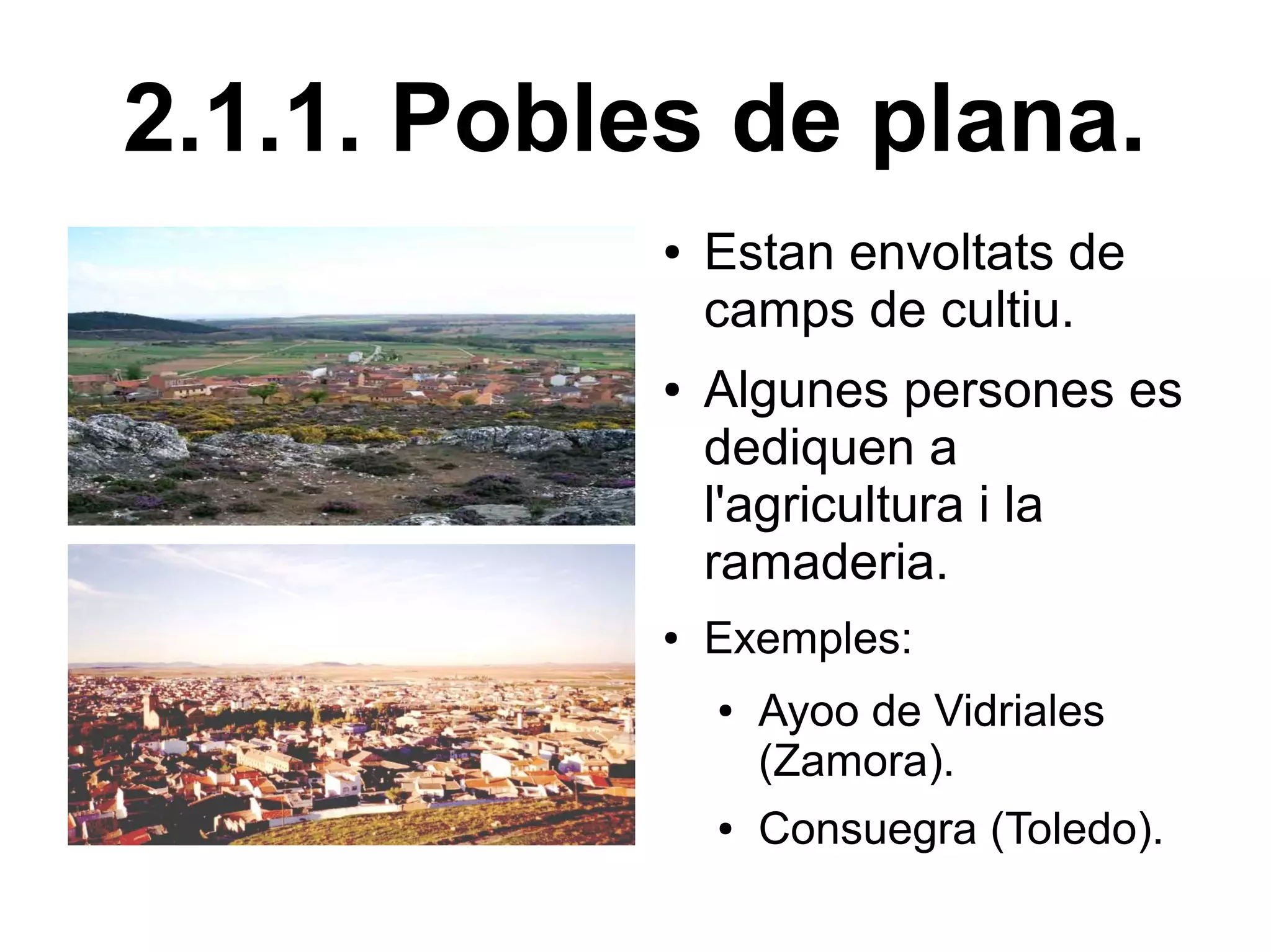 2.1.1. Pobles de plana.
            ●   Estan envoltats de
                camps de cultiu.
            ●   Algunes persones es
                dediquen a
                l'agricultura i la
                ramaderia.
            ●   Exemples:
                ●   Ayoo de Vidriales
                    (Zamora).
                ●   Consuegra (Toledo).
 