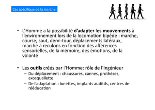 •  L’Homme	
  a	
  la	
  possibilité	
  d’adapter	
  les	
  mouvements	
  à	
  
l’environnement	
  lors	
  de	
  la	
  locomo(on	
  bipède	
  :	
  marche,	
  
course,	
  saut,	
  demi-­‐tour,	
  déplacements	
  latéraux,	
  
marche	
  à	
  reculons	
  en	
  fonc(on	
  des	
  aﬀérences	
  
sensorielles,	
  de	
  la	
  mémoire,	
  des	
  émo(ons,	
  de	
  la	
  
volonté	
  
•  Les	
  ou8ls	
  créés	
  par	
  l’Homme:	
  rôle	
  de	
  l’ingénieur	
  	
  
–  Du	
  déplacement	
  :	
  chaussures,	
  cannes,	
  prothèses,	
  
exosquelleQe	
  
–  De	
  l’adapta(on	
  :	
  luneQes,	
  implants	
  audi(fs,	
  centres	
  de	
  
rééduca(on	
  
Cas	
  spéciﬁque	
  de	
  la	
  marche	
  
 
