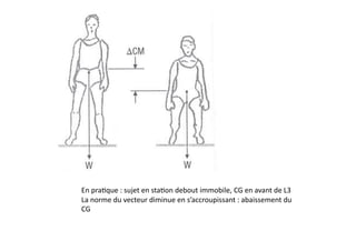 En	
  pra(que	
  :	
  sujet	
  en	
  sta(on	
  debout	
  immobile,	
  CG	
  en	
  avant	
  de	
  L3	
  
La	
  norme	
  du	
  vecteur	
  diminue	
  en	
  s’accroupissant	
  :	
  abaissement	
  du	
  
CG	
  
 