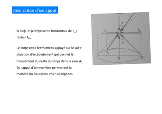 Réalisa(on	
  d’un	
  appui	
  
Si	
  α<φ	
  :	
  h	
  (composante	
  horizontale	
  de	
  Re)	
  
reste	
  <	
  flim	
  
Le	
  corps	
  reste	
  fermement	
  appuyé	
  sur	
  le	
  sol	
  >	
  
situa(on	
  d’arcboutement	
  qui	
  permet	
  le	
  
mouvement	
  du	
  reste	
  du	
  corps	
  dans	
  le	
  sens	
  A	
  
Ex	
  :	
  appui	
  d’un	
  membre	
  permeQant	
  la	
  
mobilité	
  du	
  deuxième	
  chez	
  les	
  bipèdes	
  
 