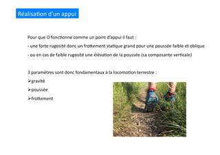 Réalisa(on	
  d’un	
  appui	
  
Pour	
  que	
  O	
  fonc(onne	
  comme	
  un	
  point	
  d’appui	
  il	
  faut	
  :	
  
-­‐ 	
  une	
  forte	
  rugosité	
  donc	
  un	
  froQement	
  sta(que	
  grand	
  pour	
  une	
  poussée	
  faible	
  et	
  oblique	
  
-­‐ 	
  ou	
  en	
  cas	
  de	
  faible	
  rugosité	
  une	
  éléva(on	
  de	
  la	
  poussée	
  (sa	
  composante	
  ver(cale)	
  
3	
  paramètres	
  sont	
  donc	
  fondamentaux	
  à	
  la	
  locomo(on	
  terrestre	
  :	
  
 gravité	
  
 poussée	
  
 froQement	
  
 