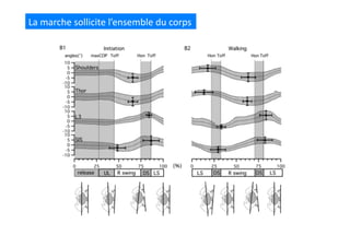 La	
  marche	
  sollicite	
  l’ensemble	
  du	
  corps	
  
 