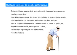 Quelques	
  exemples	
  de	
  marche	
  pathologique	
  
Toute	
  modiﬁca(on	
  acquise	
  de	
  la	
  locomo(on	
  est	
  à	
  risque	
  de	
  chute,	
  notamment	
  
chez	
  la	
  personne	
  âgée	
  
Pour	
  la	
  locomo(on	
  propre	
  :	
  les	
  causes	
  sont	
  mul(ples	
  et	
  souvent	
  plurifactorielles	
  :	
  
neurologiques	
  parfois,	
  ar(culaires,	
  musculaires	
  (faiblesse	
  acquise)	
  
Pour	
  les	
  risques	
  associés	
  de	
  chute	
  :	
  le	
  déplacement	
  du	
  centre	
  de	
  gravité,	
  les	
  
dégrada(ons	
  sensorielles,	
  désadapta(on	
  à	
  l’eﬀort,	
  
troubles	
  de	
  la	
  vigilance	
  (certains	
  médicaments),	
  
habitat	
  mal	
  adapté	
  
 