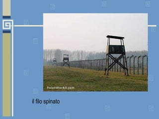 il filo spinato   