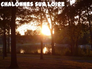 Chalonnes sur Loire
 