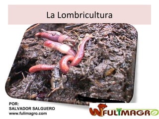 La Lombricultura POR: SALVADOR SALGUERO www.fulimagro.com 