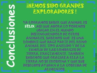 Proceso. 4. ESTOY CONFUNDIDA CIERTO QUE HAY OTROS ANIMALES QUE SE PARECEN A FÉLIX. OBSERVA CON DETENIMIENTO  OTROS ANIMALES, BUSCA LAS DIFERENCIAS Y SIMILITUDES.GUSANOSSERPIENTESINSECTOS