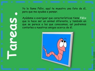 Tareas.Yo lo llame Félix, aquí te muestro una foto de él, para que me ayudes a pensar.Ayúdame a averiguar que características tiene Félix que lo hace ser un animal diferente, y también en que se parece a los que conocemos, así podremos contarles a nuestros amigos acerca de él.ANDREA REA1L ☺ Derechos Reservados
