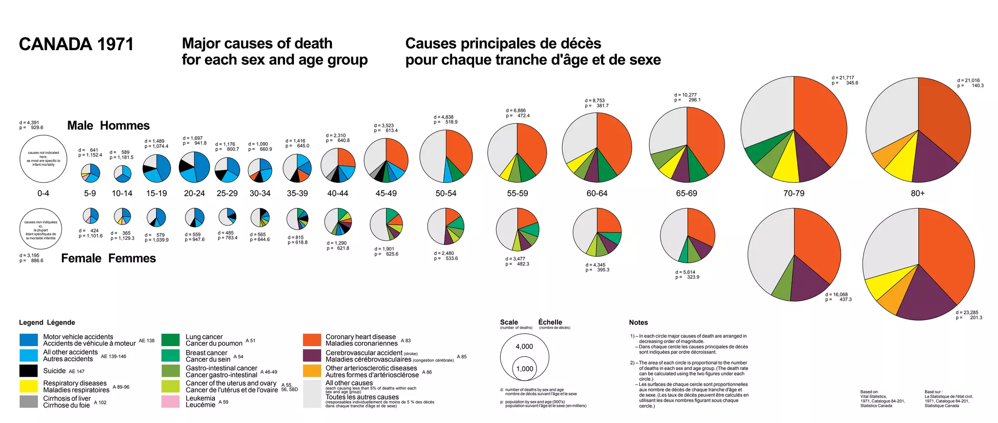 CANADA 1971                                                                 Major causes of death                                                                        Causes principales de décès
                                                                            for each sex and age group                                                                   pour chaque tranche d'âge et de sexe
                                                                                                                                                                                                                                                                                                                                               d = 21,717
                                                                                                                                                                                                                                                                                                                                               p=     345.6                                                   d = 21,016
                                                                                                                                                                                                                                                                                                                                                                                                              p=     140.3
                                                                                                                                                                                                                                                                                             d = 10,277
                                                                                                                                                                                                                                                            d = 8,753                        p=     296.1
                                                                                                                                                                                                                                                            p = 381.7
                                                                                                                                                                                                            d = 6,886
                                                                                                                                                                                      d = 4,838             p = 472.4
d = 4,391                                                                                                                                                                             p = 518.9
p = 929.6                   Male Hommes                                                                                                                 d = 3,523
                                                                                                                                                        p = 613.4
                                                                                                                               d = 2,310
                                                                            d = 1,697                                          p = 640.8
                                                              d = 1,489     p = 941.8                             d = 1,416
                                                              p = 1,074.4               d = 1,176   d = 1,090     p = 645.0
                                d = 641                                                 p = 800.7   p = 660.9
   causes not indicated                       d = 589
          here,                 p = 1,152.4   p = 1,181.5
  as most are specific to
     infant mortality




          0-4                     5-9         10-14           15-19         20-24       25-29       30-34          35-39       40-44                     45-49                            50-54              55-59                                              60-64                         65-69                                  70-79                                              80+


 causes non indiquées
            ici,
        la plupart              d = 424
  étant spécifiques de                        d = 365         d = 579       d = 559     d = 485     d = 565
  la mortalité infantile
                                p = 1,101.6   p = 1,129.3                               p = 783.4                  d = 815
                                                              p = 1,039.9   p = 947.6               p = 644.6
                                                                                                                   p = 618.8   d = 1,290
                                                                                                                               p = 621.8                d = 1,901
                                                                                                                                                        p = 625.6                     d = 2,480
d = 3,195
p = 886.6                   Female Femmes                                                                                                                                             p = 533.6             d = 3,477
                                                                                                                                                                                                            p = 482.3                                       d = 4,345
                                                                                                                                                                                                                                                            p = 395.3                         d = 5,614
                                                                                                                                                                                                                                                                                              p = 323.9


                                                                                                                                                                                                                                                                                                                                             d = 16,068
                                                                                                                                                                                                                                                                                                                                             p=     437.3

                                                                                                                                                                                                                                                                                                                                                                                                              d = 23,285
                                                                                                                                                                                                                                                                                                                                                                                                              p=     201.3
Legend Légende                                                                                                                                                                                           Scale                 Échelle                                  Notes
                                                                                                                                                                                                         (number of deaths)     (nombre de décès)

              Motor vehicle accidents                       AE 138
                                                                             Lung cancer         A 51
                                                                                                                               Coronary heart disease A 83                                                                                                              1) – In each circle major causes of death are arranged in
                                                                                                                                                                                                                                                                             decreasing order of magnitude.
              Accidents de véhicule à moteur                                 Cancer du poumon                                  Maladies coronariennes                                                             4,000                                                    – Dans chaque cercle les causes principales de décès
              All other accidents                                            Breast cancer A 54                                Cerebrovascular accident (stroke)                                                                                                             sont indiquées par ordre décroissant.
              Autres accidents AE 139-146                                    Cancer du sein                                    Maladies cérébrovasculaires (congestion cérébrale)
                                                                                                                                                                                                  A 85
                                                                                                                                                                                                                                                                        2) – The area of each circle is proportional to the number
              Suicide        AE 147
                                                                             Gastro-intestinal cancer A 46-49                  Other arteriosclerotic diseases A 86                                               1,000                                                      of deaths in each sex and age group. (The death rate
                                                                             Cancer gastro-intestinal                          Autres formes d'artériosclérose                                                                                                               can be calculated using the two figures under each
                                                                                                                                                                                                                                                                             circle.)
              Respiratory diseases                                           Cancer of the uterus and ovary      A 55,         All other causes                                                                                                                            – Les surfaces de chaque cercle sont proportionnelles
                                               A 89-96                                                                         (each causing less than 5% of deaths within each
              Maladies respiratoires                                         Cancer de l'utérus et de l'ovaire   56, 58D       sex and age group)
                                                                                                                                                                                                         d: number of deaths by sex and age
                                                                                                                                                                                                            nombre de décès suivant l'âge et le sexe
                                                                                                                                                                                                                                                                             aux nombre de décès de chaque tranche d'âge et                                   Based on:                   Basé sur :
                                                                                                                                                                                                                                                                             de sexe. (Les taux de décès peuvent être calculés en
              Cirrhosis of liver                                             Leukemia A 59                                     Toutes les autres causes                                                                                                                      utilisant les deux nombres figurant sous chaque
                                                                                                                                                                                                                                                                                                                                                              Vital Statistics,
                                                                                                                                                                                                                                                                                                                                                              1971, Catalogue 84-201,
                                                                                                                                                                                                                                                                                                                                                                                          La Statistique de l'état civil,
                                                                                                                                                                                                                                                                                                                                                                                          1971, Catalogue 84-201,
                                                                                                                               (responsables individuellement de moins de 5 % des décès                  p: population by sex and age (000's)
              Cirrhose du foie A 102                                         Leucémie                                          dans chaque tranche d'âge et de sexe)                                        population suivant l'âge et le sexe (en milliers)                cercle.)                                                                         Statistics Canada           Statistique Canada
 