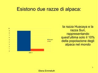 Esistono due razze di alpaca:


10
                                      la razza Huacaya e la
9                                           razza Suri,
8
7
                                          rappresentando
6
                            Hucaya
                                     quest'ultima solo il 10%
                                     della popolazione degli
5
                            Suri
4
3
2
                                        alpaca nel mondo
1
0
          Zeile 3




                                                           3

                    Elena Emmeluth
 
