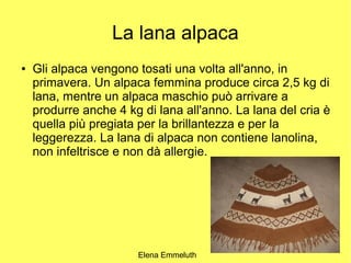 La lana alpaca
●   Gli alpaca vengono tosati una volta all'anno, in
    primavera. Un alpaca femmina produce circa 2,5 kg di
    lana, mentre un alpaca maschio può arrivare a
    produrre anche 4 kg di lana all'anno. La lana del cria è
    quella più pregiata per la brillantezza e per la
    leggerezza. La lana di alpaca non contiene lanolina,
    non infeltrisce e non dà allergie.




                                                           6

                       Elena Emmeluth
 