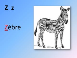 Z z

Zèbre
 