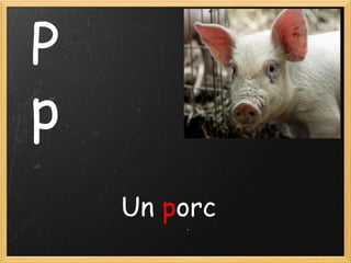P
p
Un porc

 