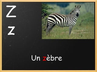 Z
z
Un zèbre

 