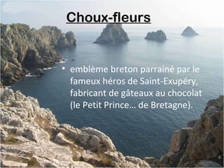 Choux-fleurs 
• emblème breton parrainé par le
fameux héros de Saint-Exupéry,
fabricant de gâteaux au chocolat
(le Petit Prince… de Bretagne).
 