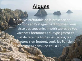 Algues
• preuve irréfutable de la présence de
cochons en Bretagne, la dinophysis vous
laisse des souvenirs impérissables de vos
vacances bretonnes : du type gastro et
mal de tête. De toutes les façons, les
Bretons s’en foutent, seuls les Parisiens
se baignent dans une eau à 15°C.
 