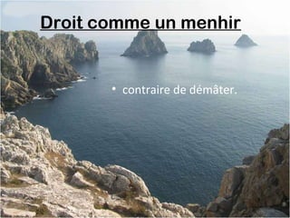 Droit comme un menhir 
• contraire de démâter.
 