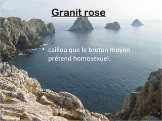 Granit rose 
• caillou que le breton moyen
prétend homosexuel.
 