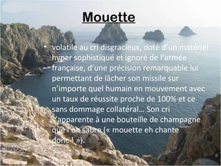 Mouette
• volatile au cri disgracieux, doté d’un matériel
hyper sophistiqué et ignoré de l’armée
française, d’une précision remarquable lui
permettant de lâcher son missile sur
n’importe quel humain en mouvement avec
un taux de réussite proche de 100% et ce
sans dommage collatéral… Son cri
s’apparente à une bouteille de champagne
que l’on sabre (« mouette eh chante
donc ! »).
 