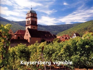 Kaysersberg vignoble 