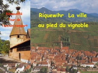 Ribeauvillé  Tour de  l’ancien rempart Riquewihr  La ville  au pied du vignoble   