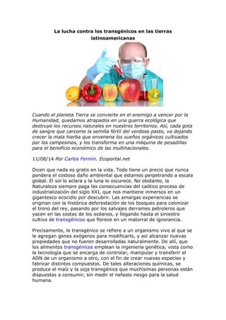 La lucha contra los transgénicos en las tierras
latinoamericanas
Cuando el planeta Tierra se convierte en el enemigo a vencer por la
Humanidad, quedamos atrapados en una guerra ecológica que
destruye los recursos naturales en nuestros territorios. Así, cada gota
de sangre que carcome la semilla fértil del verdoso pasto, va dejando
crecer la mala hierba que envenena los sueños orgánicos cultivados
por los campesinos, y los transforma en una máquina de pesadillas
para el beneficio económico de las multinacionales.
11/08/14 Por Carlos Fermín. Ecoportal.net
Dicen que nada es gratis en la vida. Todo tiene un precio que nunca
pondera el costoso daño ambiental que estamos perpetrando a escala
global. El sol lo aclara y la luna lo oscurece. No obstante, la
Naturaleza siempre paga las consecuencias del caótico proceso de
industrialización del siglo XXI, que nos mantiene inmersos en un
gigantesco ecocidio por descubrir. Las amargas experiencias se
originan con la histórica deforestación de los bosques para colonizar
el trono del rey, pasando por los salvajes derrames petroleros que
yacen en las costas de los océanos, y llegando hasta el siniestro
cultivo de transgénicos que florece en un matorral de ignorancia.
Precisamente, lo transgénico se refiere a un organismo vivo al que se
le agregan genes exógenos para modificarlo, y así alcanzar nuevas
propiedades que no fueron desarrolladas naturalmente. De allí, que
los alimentos transgénicos emplean la ingeniería genética, vista como
la tecnología que se encarga de controlar, manipular y transferir el
ADN de un organismo a otro, con el fin de crear nuevas especies y
fabricar distintos compuestos. De tales alteraciones químicas, se
produce el maíz y la soja transgénica que muchísimas personas están
dispuestas a consumir, sin medir el nefasto riesgo para la salud
humana.
 