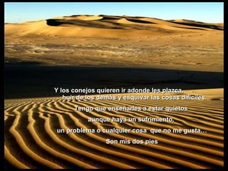 son mis dos pies. Y los conejos quieren ir adonde les plazca,  huir de los demás y esquivar las cosas difíciles.  Tengo que enseñarles a estar quietos  aunque haya un sufrimiento,  un problema o cualquier cosa  que no me gusta… Son mis dos pies 