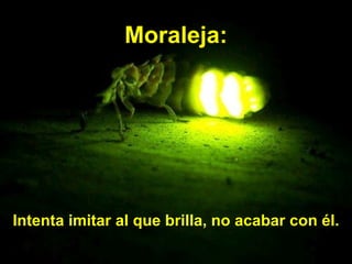 Moraleja: Intenta imitar al que brilla, no acabar con él. 