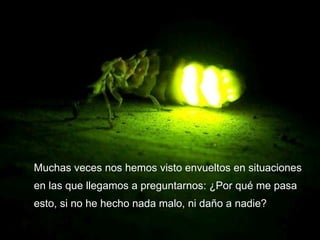 Muchas veces nos hemos visto envueltos en situaciones en las que llegamos a preguntarnos: ¿Por qué me pasa esto, si no he hecho nada malo, ni daño a nadie?  