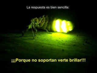 ¡¡¡Porque no soportan verte brillar!!! La respuesta es bien sencilla: 