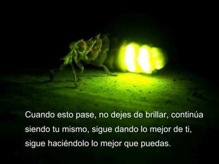 Cuando esto pase, no dejes de brillar, continúa siendo tu mismo, sigue dando lo mejor de ti, sigue haciéndolo lo mejor que puedas. 