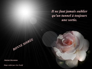 Il ne faut jamais oublier qu'un tunnel à toujours une sortie. Auteur:inconnu Diapo réalisé par: Lise Tardif BONNE SOIRÉE 
