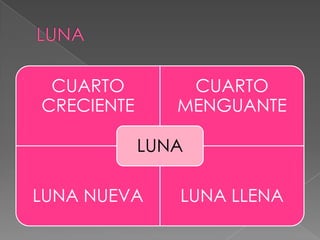 CUARTO CUARTO
CRECIENTE MENGUANTE
LUNA
LUNA NUEVA LUNA LLENA