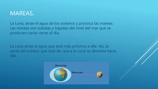 MAREAS.
La Luna, atrae el agua de los océanos y provoca las mareas.
Las mareas son subidas y bajadas del nivel del mar que se
producen varias veces al día.
La Luna atrae el agua que está más próxima a ella. Así, la
parte del océano que está de cara a la Luna se abomba hacia
ella.
 