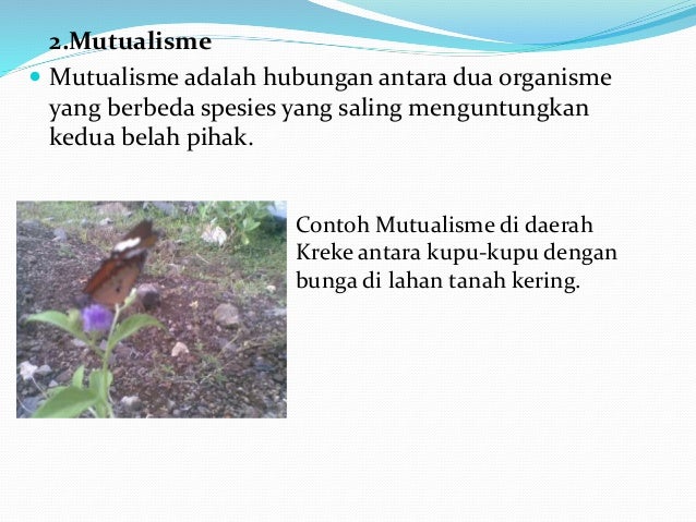 intraksi makhluk hidup