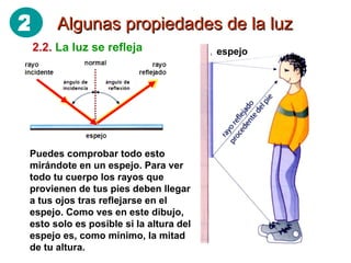 Algunas propiedades de la luz 2.2.   La luz se refleja Puedes comprobar todo esto mirándote en un espejo. Para ver todo tu cuerpo los rayos que provienen de tus pies deben llegar a tus ojos tras reflejarse en el espejo. Como ves en este dibujo, esto solo es posible si la altura del espejo es, como mínimo, la mitad de tu altura. espejo 2 
