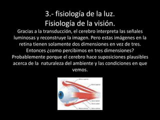 3.- fisiología de la luz.Fisiología de la visión.Gracias a la transducción, el cerebro interpreta las señales luminosas y reconstruye la imagen. Pero estas imágenes en la retina tienen solamente dos dimensiones en vez de tres. Entonces ¿como percibimos en tres dimensiones?Probablemente porque el cerebro hace suposiciones plausibles acerca de la  naturaleza del ambiente y las condiciones en que vemos.