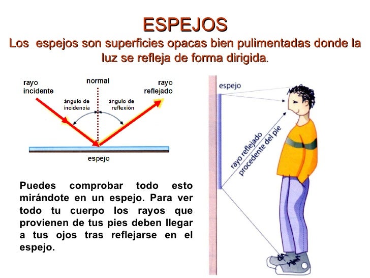 Imatge relacionada