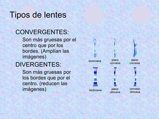 Tipos de lentes CONVERGENTES: Son más gruesas por el centro que por los bordes. (Amplían las imágenes) DIVERGENTES: Son más gruesas por los bordes que por el centro. (reducen las imágenes) 