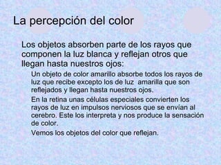 La percepción del color Los objetos absorben parte de los rayos que componen la luz blanca y reflejan otros que llegan hasta nuestros ojos: Un objeto de color amarillo absorbe todos los rayos de luz que recibe excepto los de luz  amarilla que son reflejados y llegan hasta nuestros ojos. En la retina unas células especiales convierten los rayos de luz en impulsos nerviosos que se envían al cerebro. Este los interpreta y nos produce la sensación de color. Vemos los objetos del color que reflejan. 