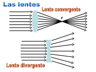 Las lentes Lente convergente F Lente divergente 