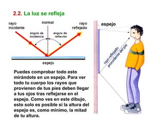 2.2. La luz se refleja
                                        espejo




Puedes comprobar todo esto
mirándote en un espejo. Para ver
todo tu cuerpo los rayos que
provienen de tus pies deben llegar
a tus ojos tras reflejarse en el
espejo. Como ves en este dibujo,
esto solo es posible si la altura del
espejo es, como mínimo, la mitad
de tu altura.
 
