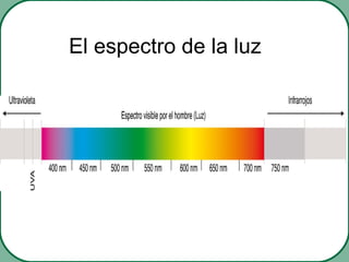 El espectro de la luz
 