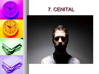 7. CENITAL

 